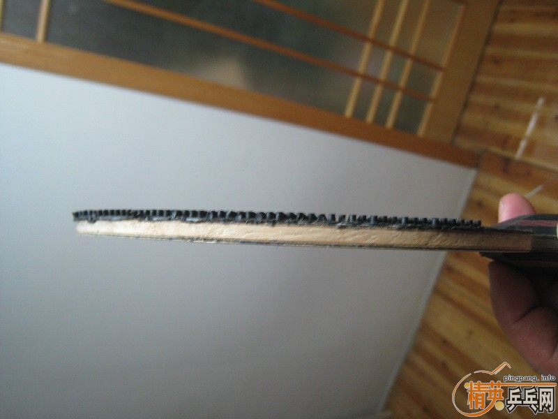 [ԭ��]�����õ�XIOM�װ�550Ԫ������VIP200�׽�