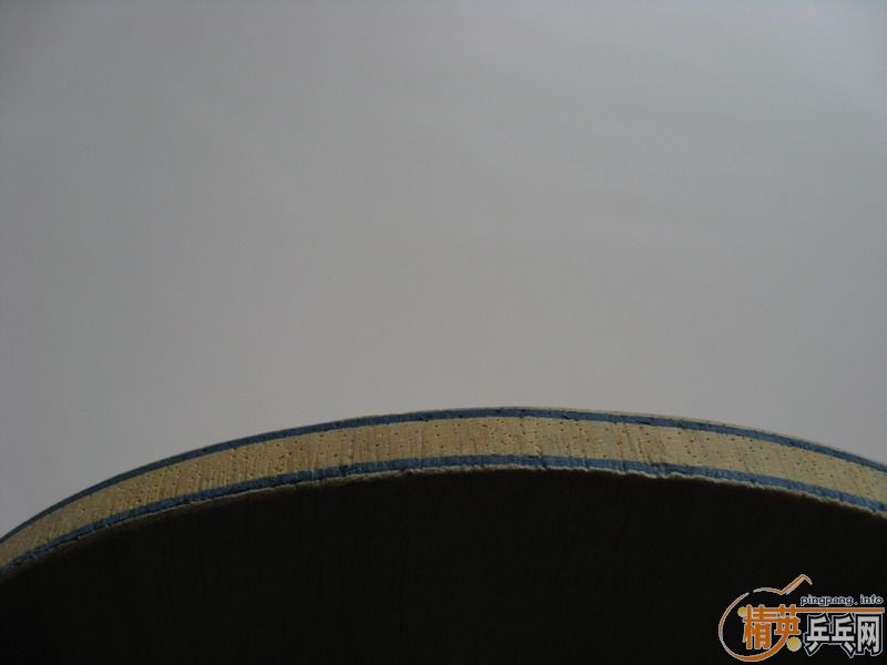 220Ԫ����ݳ��ղص�FL��BANDA CarreraRS������STIGA eg��ʵ�ı���ǿ��