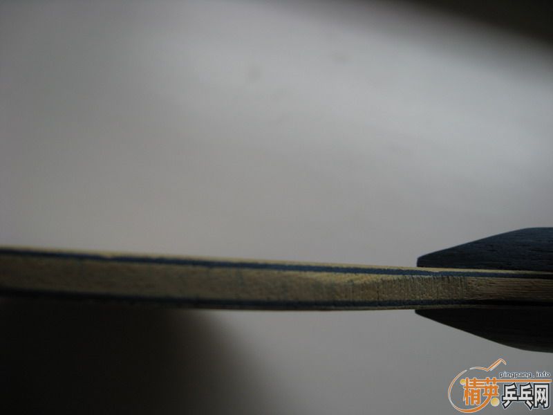 220Ԫ����ݳ��ղص�FL��BANDA CarreraRS������STIGA eg��ʵ�ı���ǿ��