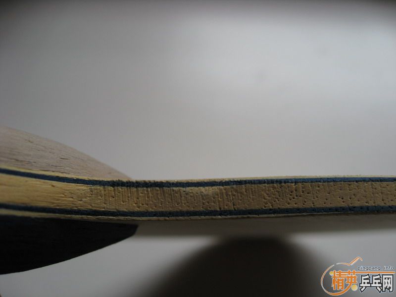 220Ԫ����ݳ��ղص�FL��BANDA CarreraRS������STIGA eg��ʵ�ı���ǿ��