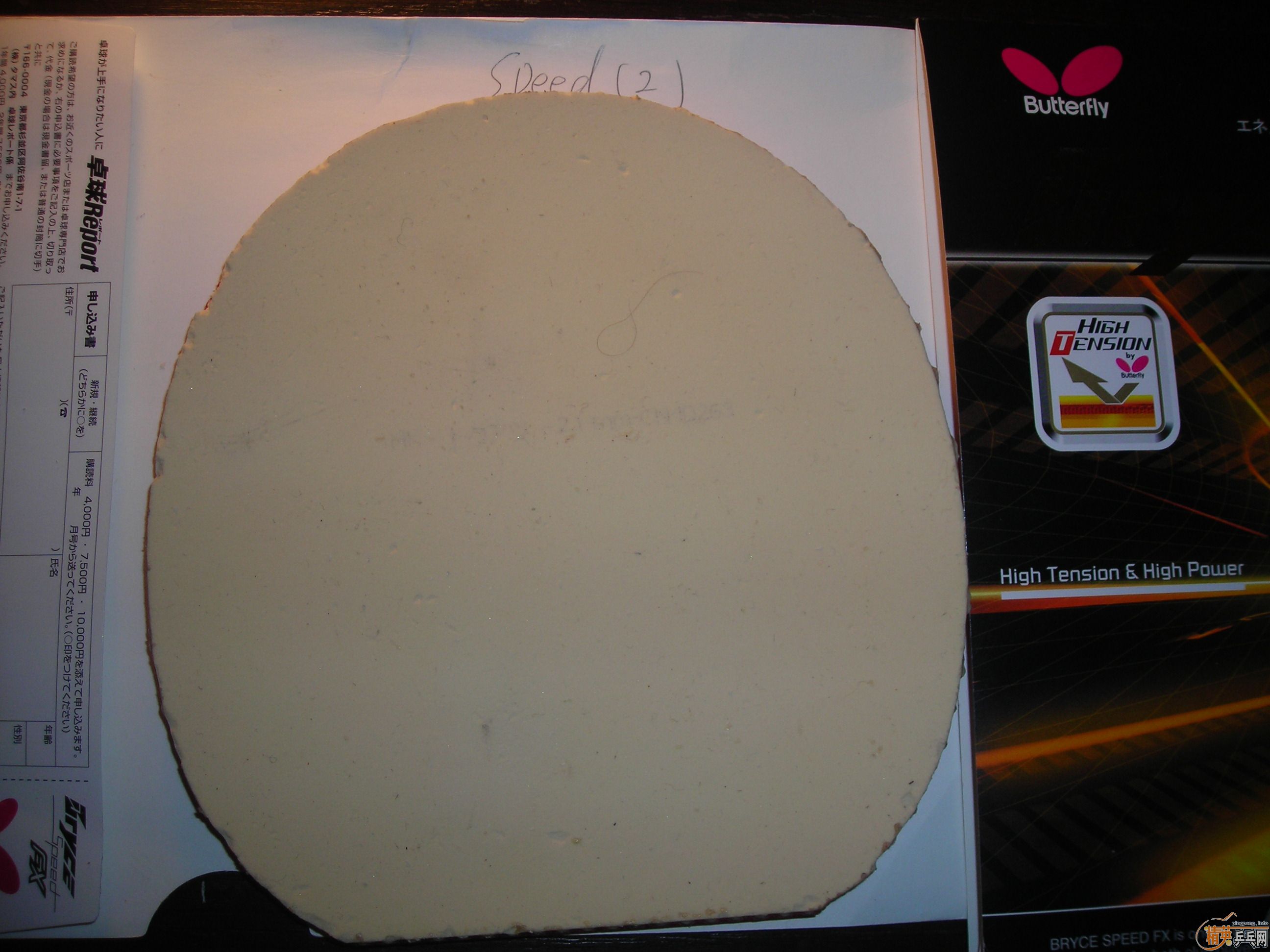 �ͼ۳�����SEED FX ��һ��9��9���� T05