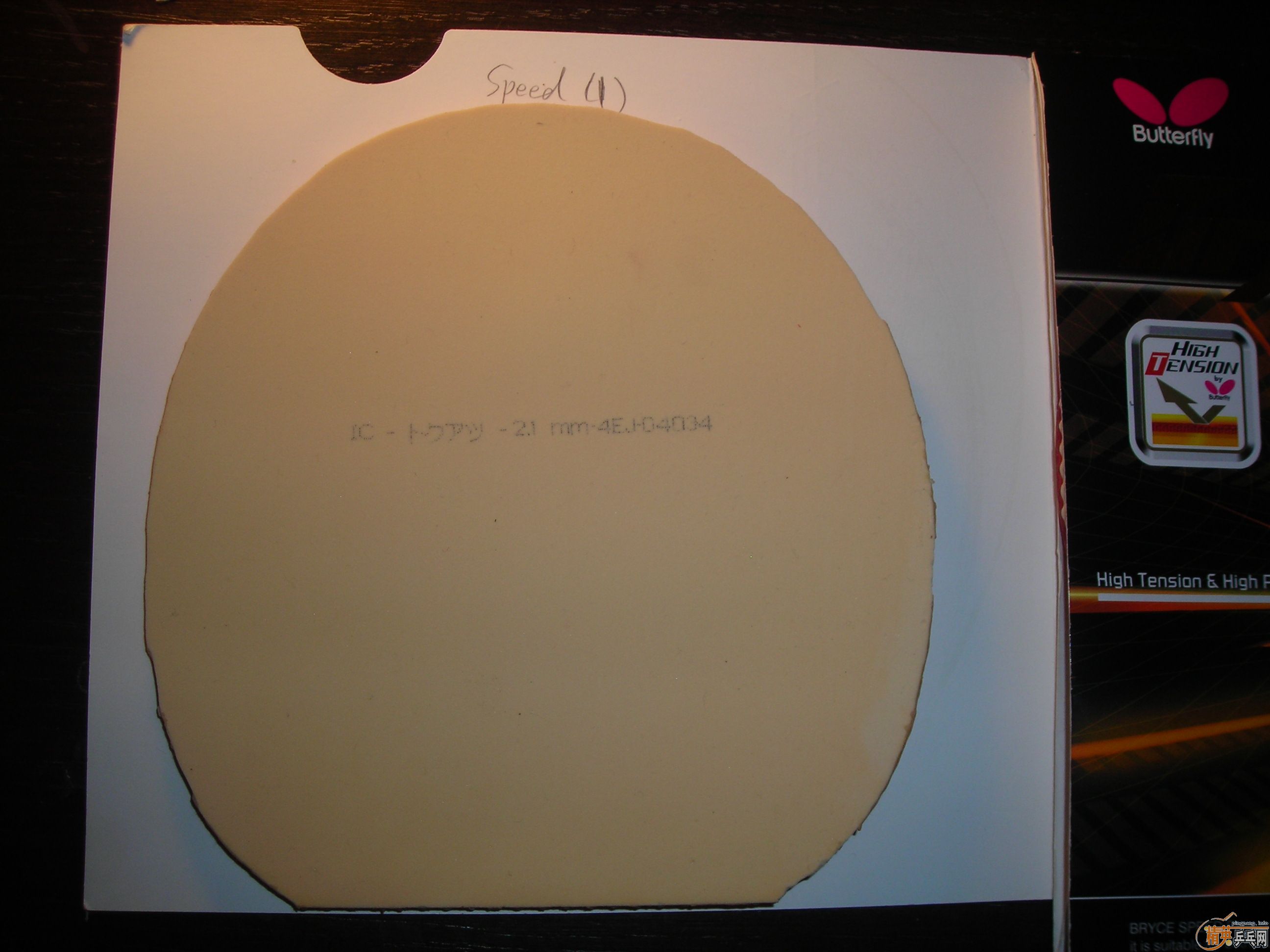 �ͼ۳�����SEED FX ��һ��9��9���� T05