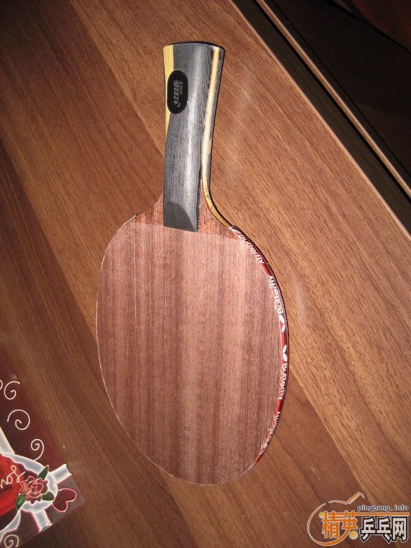 ��������~~~~550