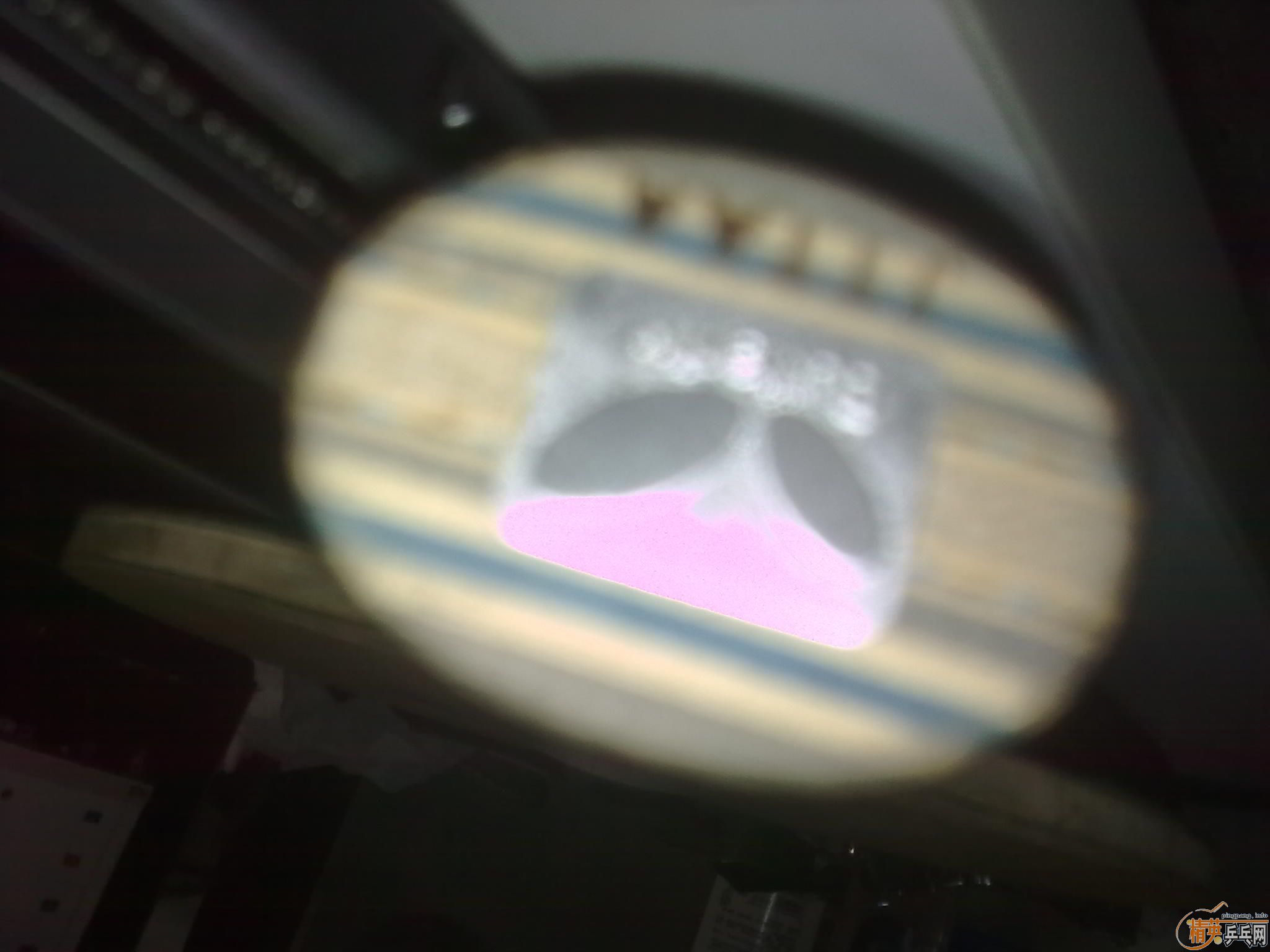 ��̳���ֳ�һ����µ��¿������