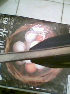 �����ֻ�б����EG-STһ֧