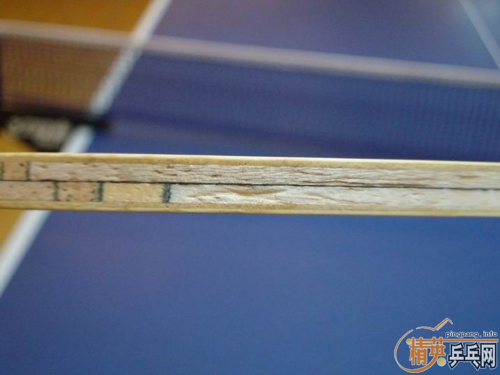 ������������֧��