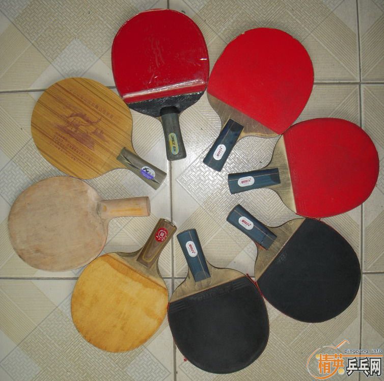 ���˳� 9ֻ �װ壡