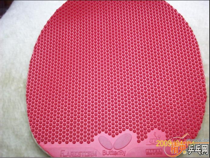 ��˦������������NITTAKU������TSP���������ߣ�