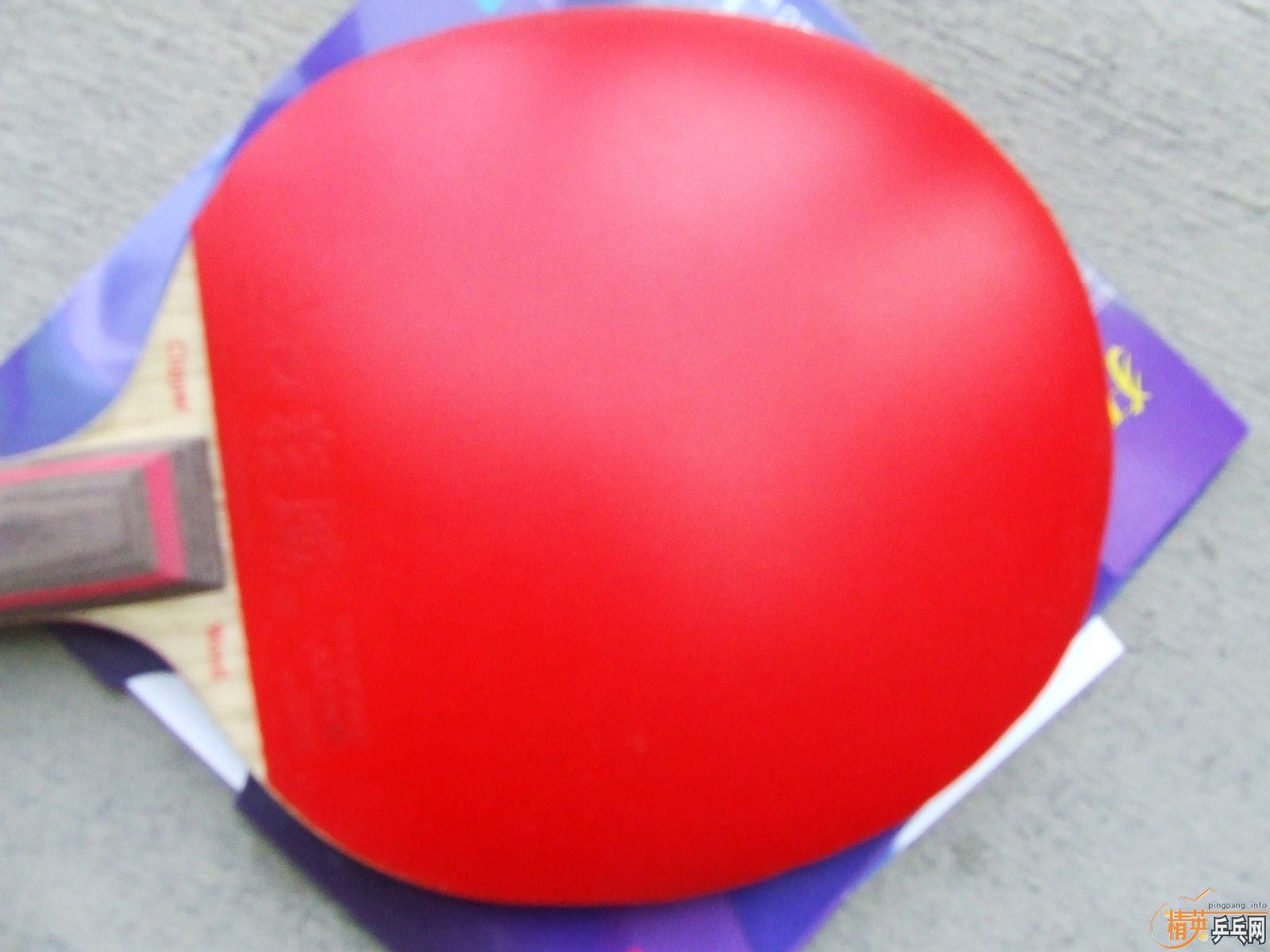 ��һ���׽�