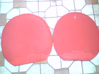 ����TSP��������60Ԫ��1��7-1��9��CL�����