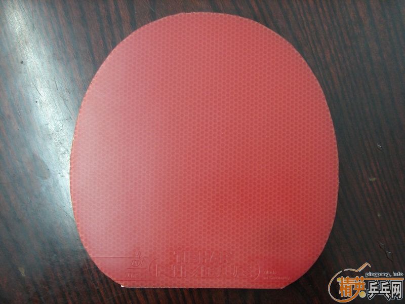 ѳһTIBHAR NIMBUS׽һ麫׽240죬ǳţ