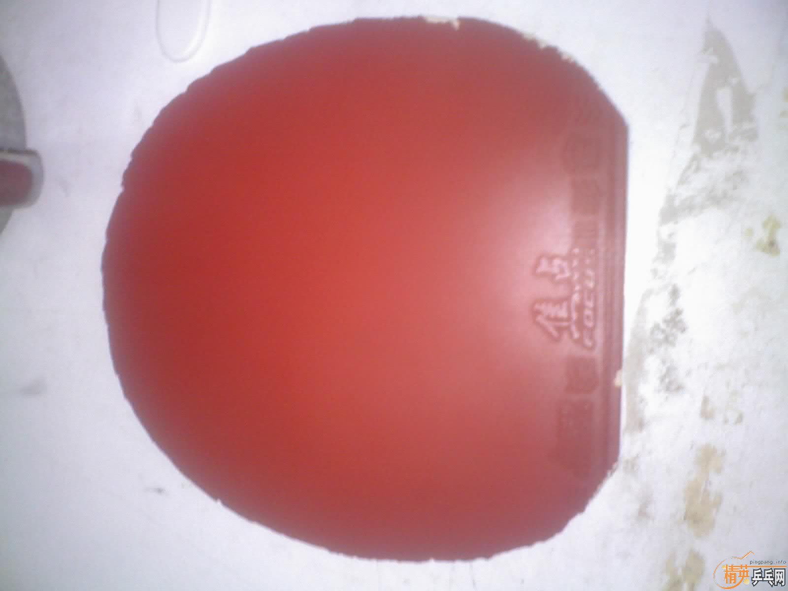 �����׽����������׽�������������������ڰ�