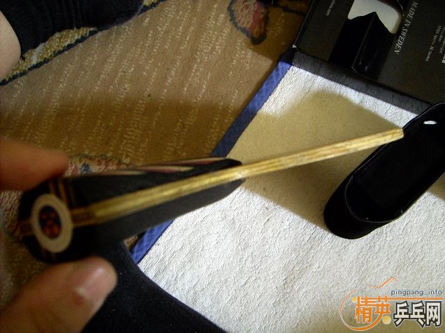 [�Ƽ�]��������˹��̼��.