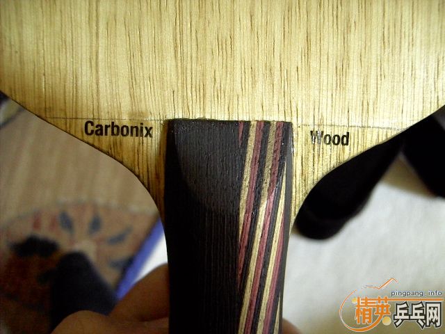 [�Ƽ�]��������˹��̼��.