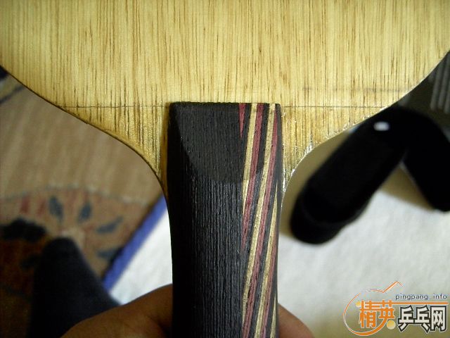 [�Ƽ�]��������˹��̼��.