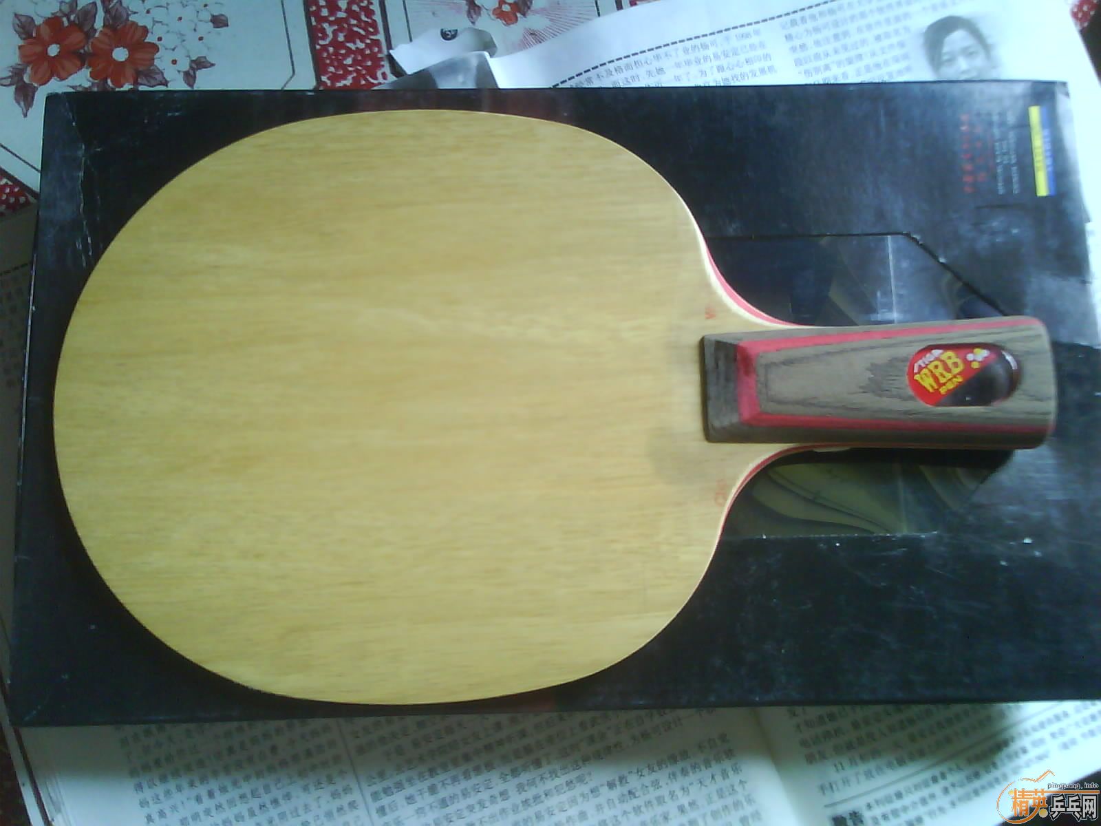 9.8�µĻ� ��CL-WBR����֧����