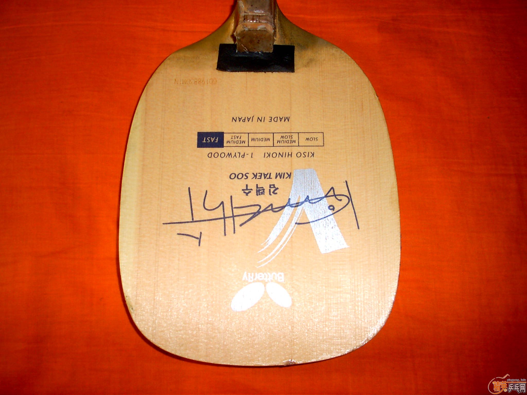 ��240���ľ�Ƶ� ���� ���� 800��˳�� ����