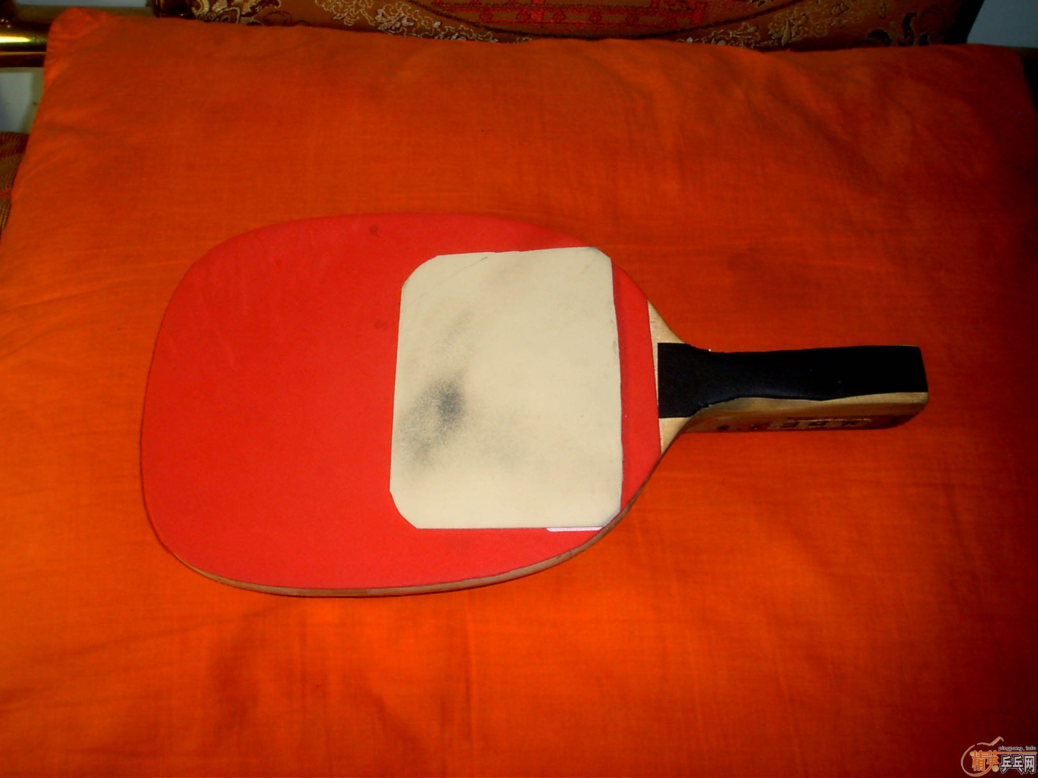 ��240���ľ�Ƶ� ���� ���� 800��˳�� ����