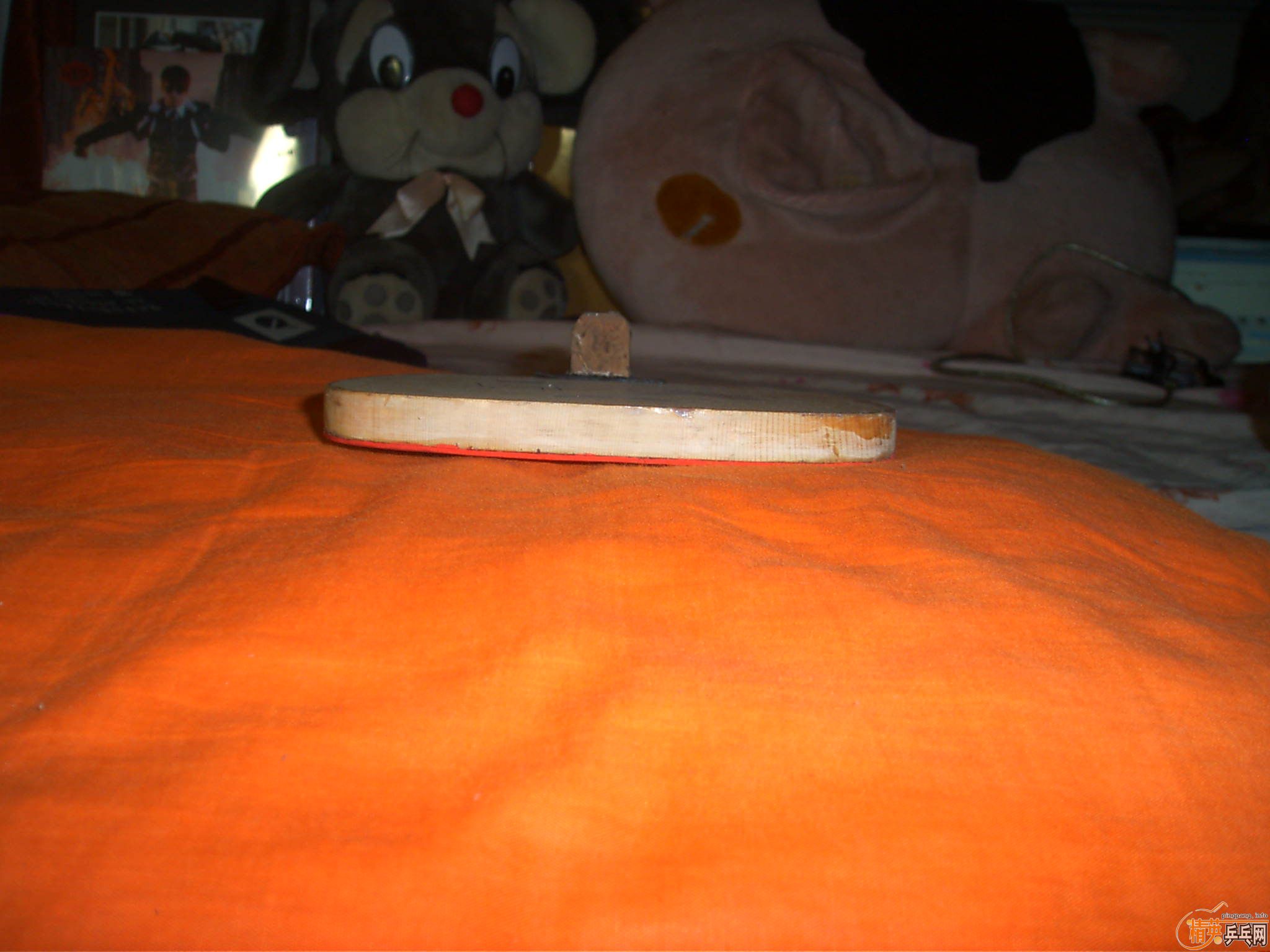 ��240���ľ�Ƶ� ���� ���� 800��˳�� ����