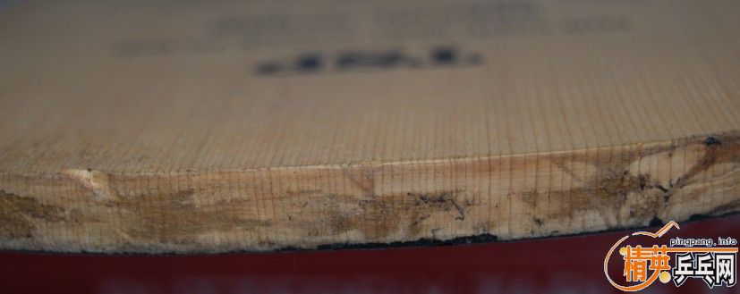 tsp��ֱspecial��550������