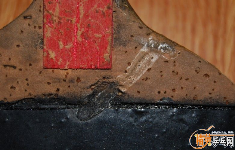 tsp��ֱspecial��550������