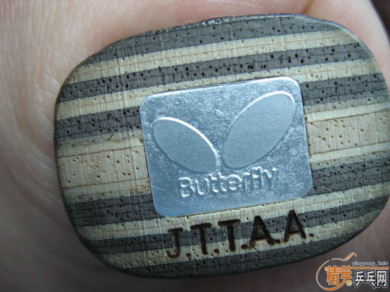 ���Ʊ��� ��FL   �ų��� Ʒ���  �Ϳ����׽�