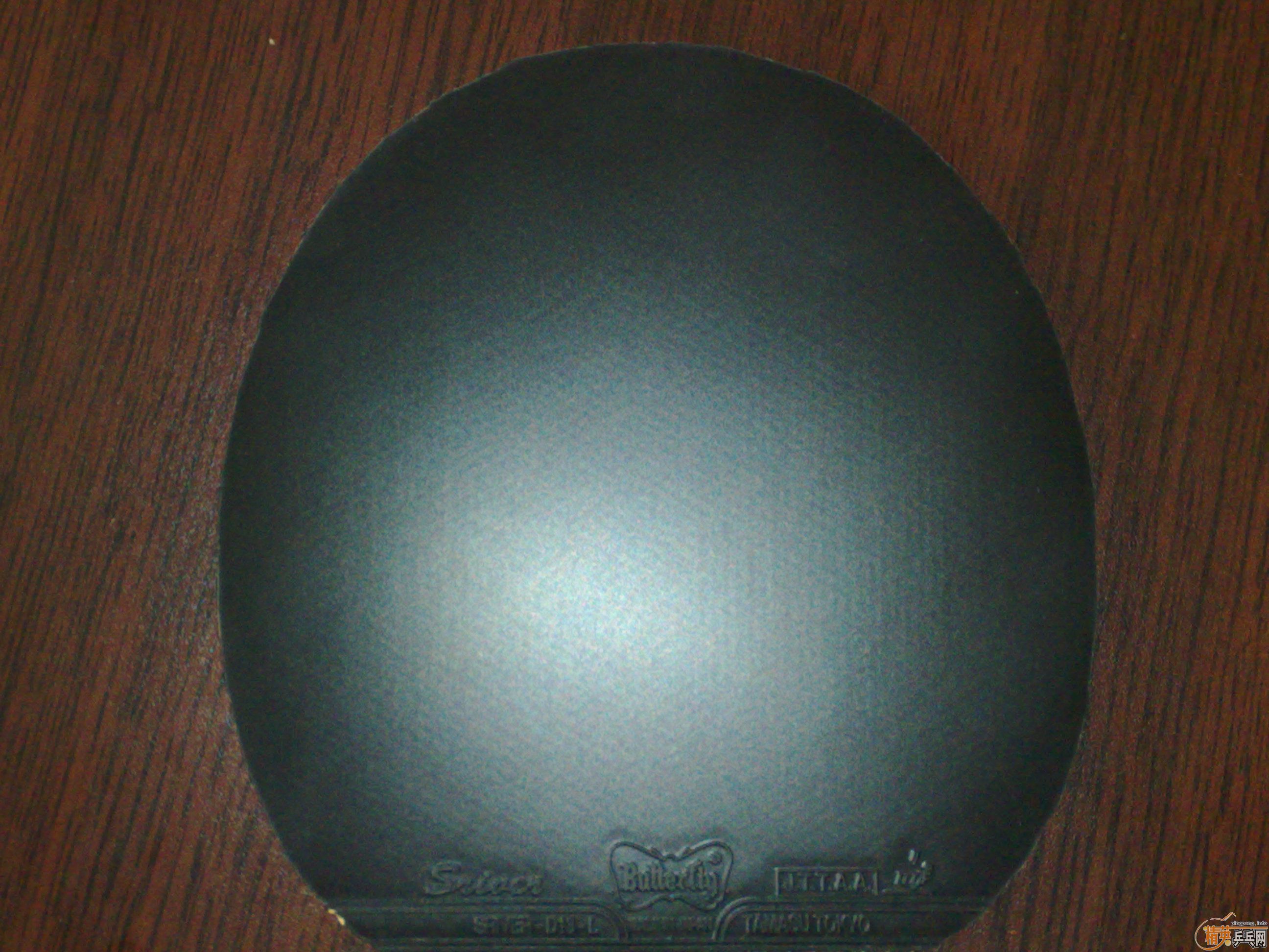 ��95�º����׽�