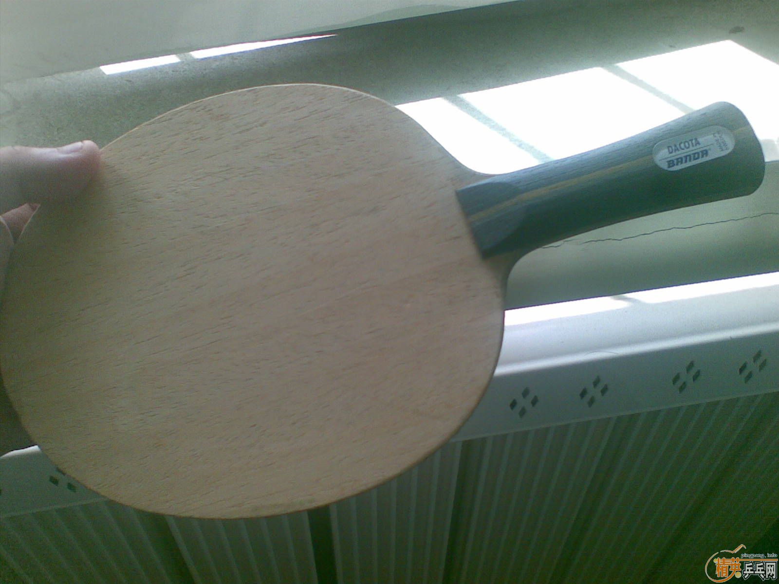 �����ʮ������� BANDA Dacota (����)-------------------90% NEW