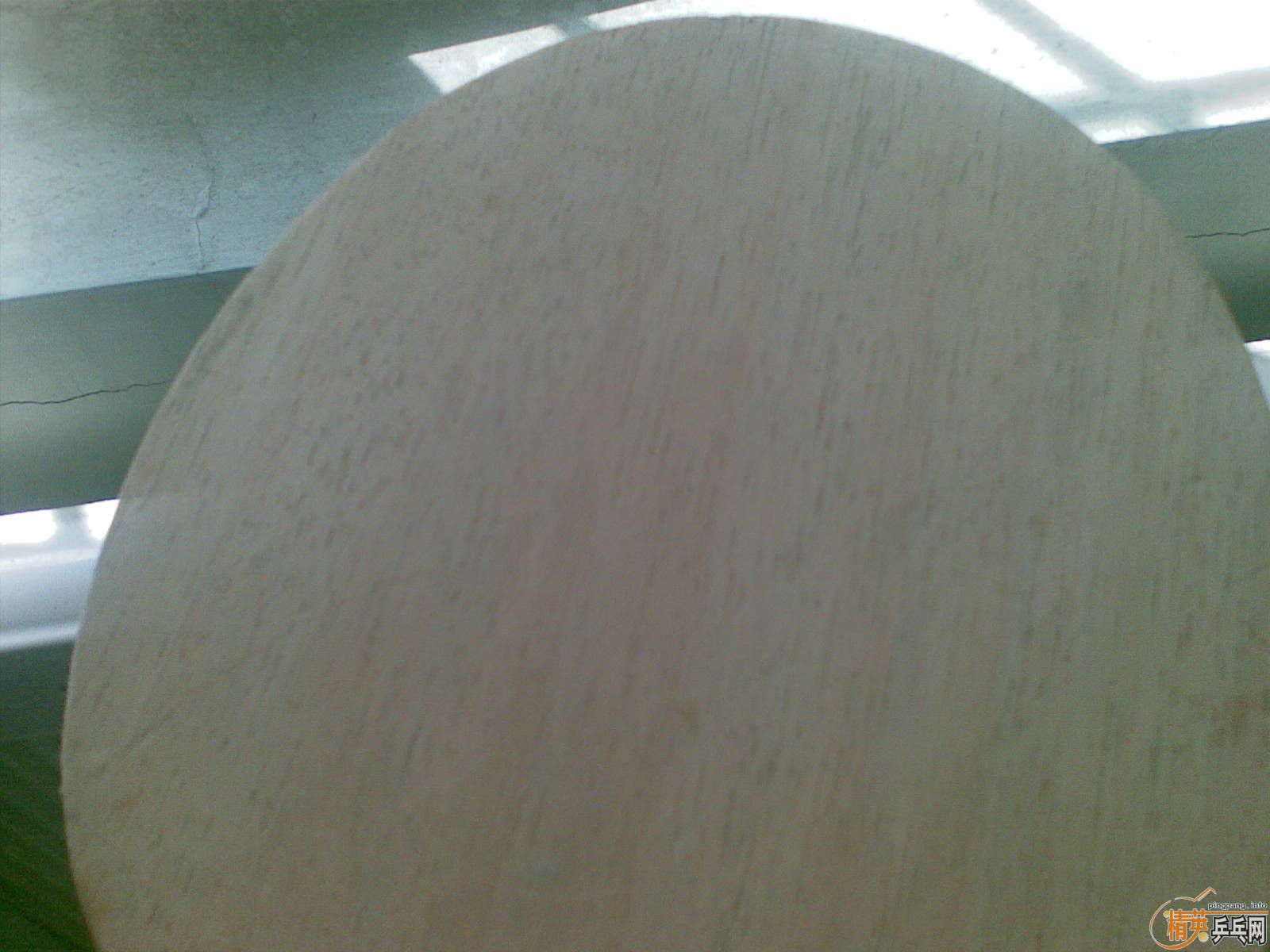 �����ʮ������� BANDA Dacota (����)-------------------90% NEW