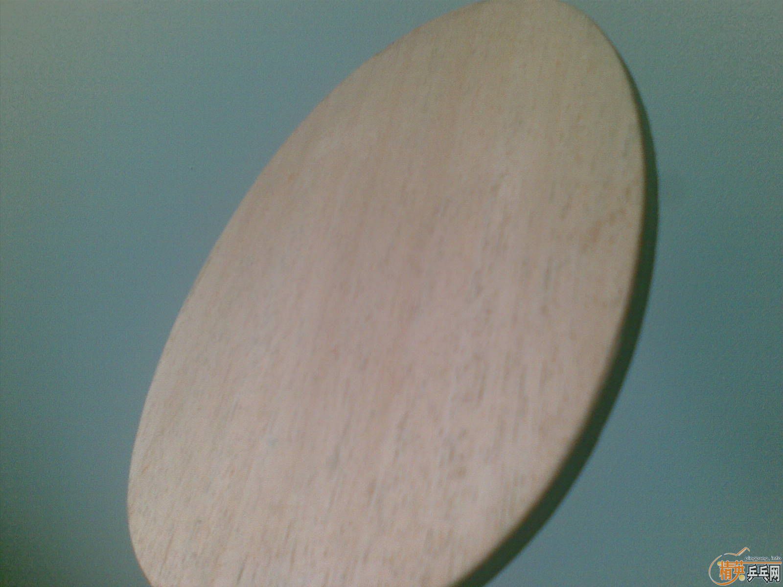 �����ʮ������� BANDA Dacota (����)-------------------90% NEW