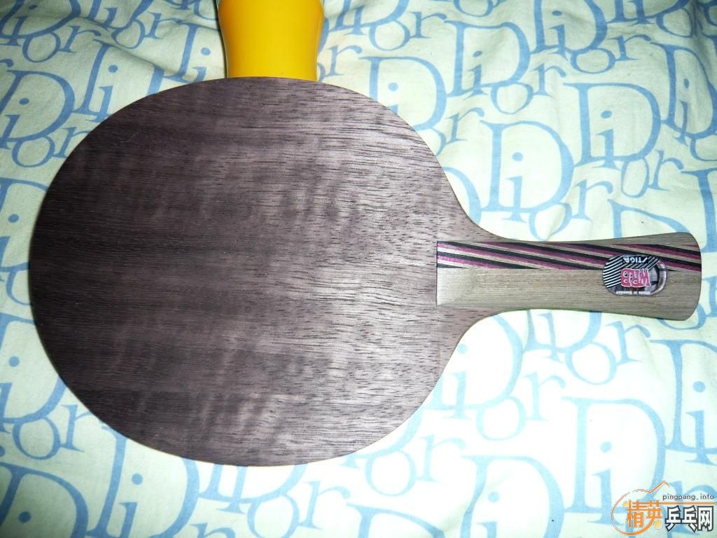 365Ԫ��˳���9.5��˹�ٿ�Ti5.4