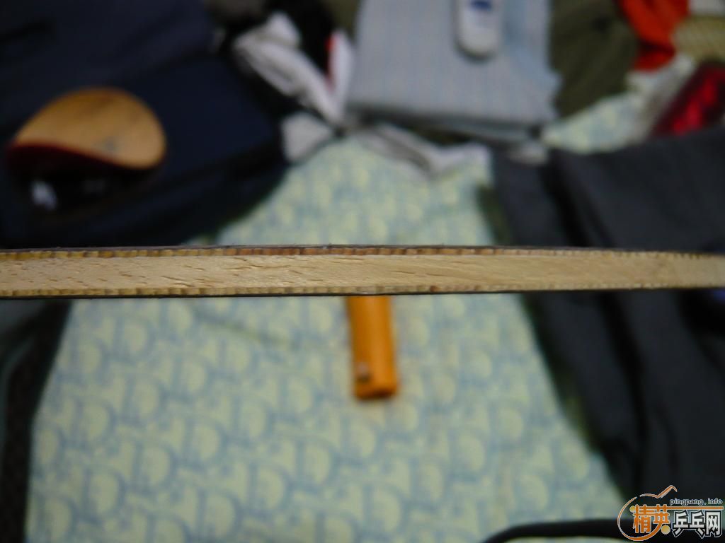 365Ԫ��˳���9.5��˹�ٿ�Ti5.4