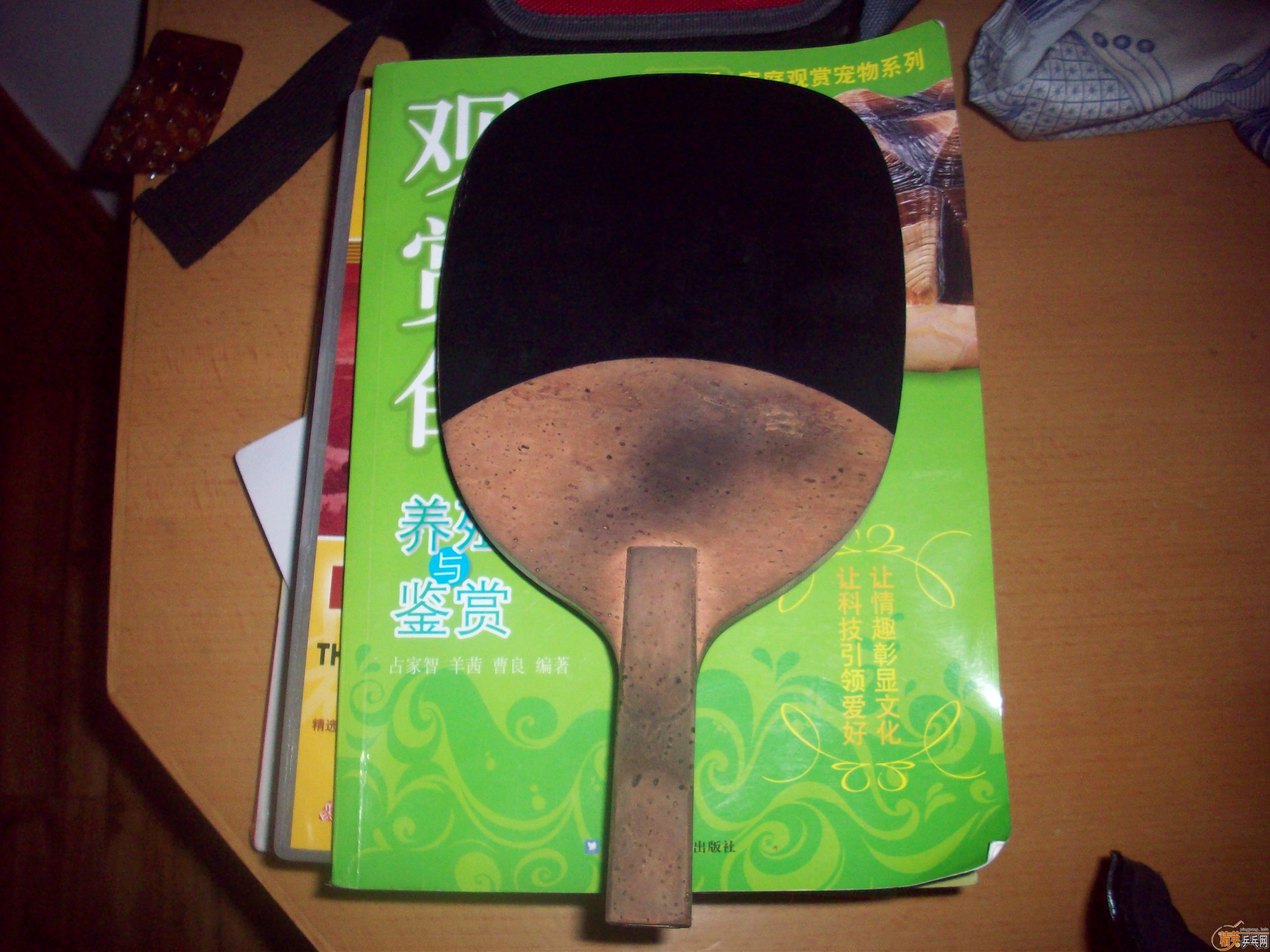 ������CYPRESS����