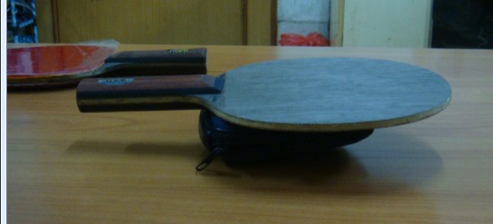 FLocyasaka oc wrb ֧