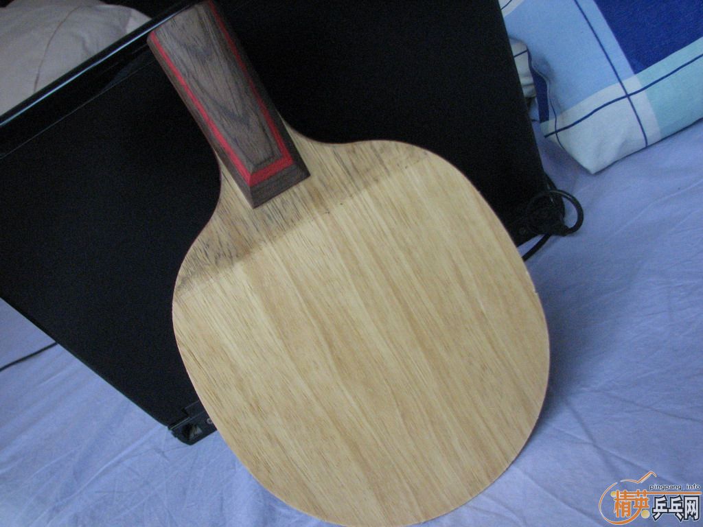 ֧ϰstiga cl׽729RITC׽