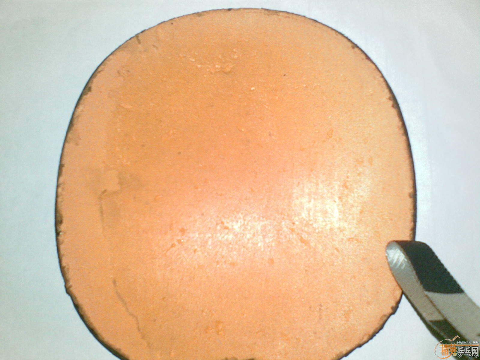 �����ſ�쭣���ɫ��ͼ�����Գ�ֵ��