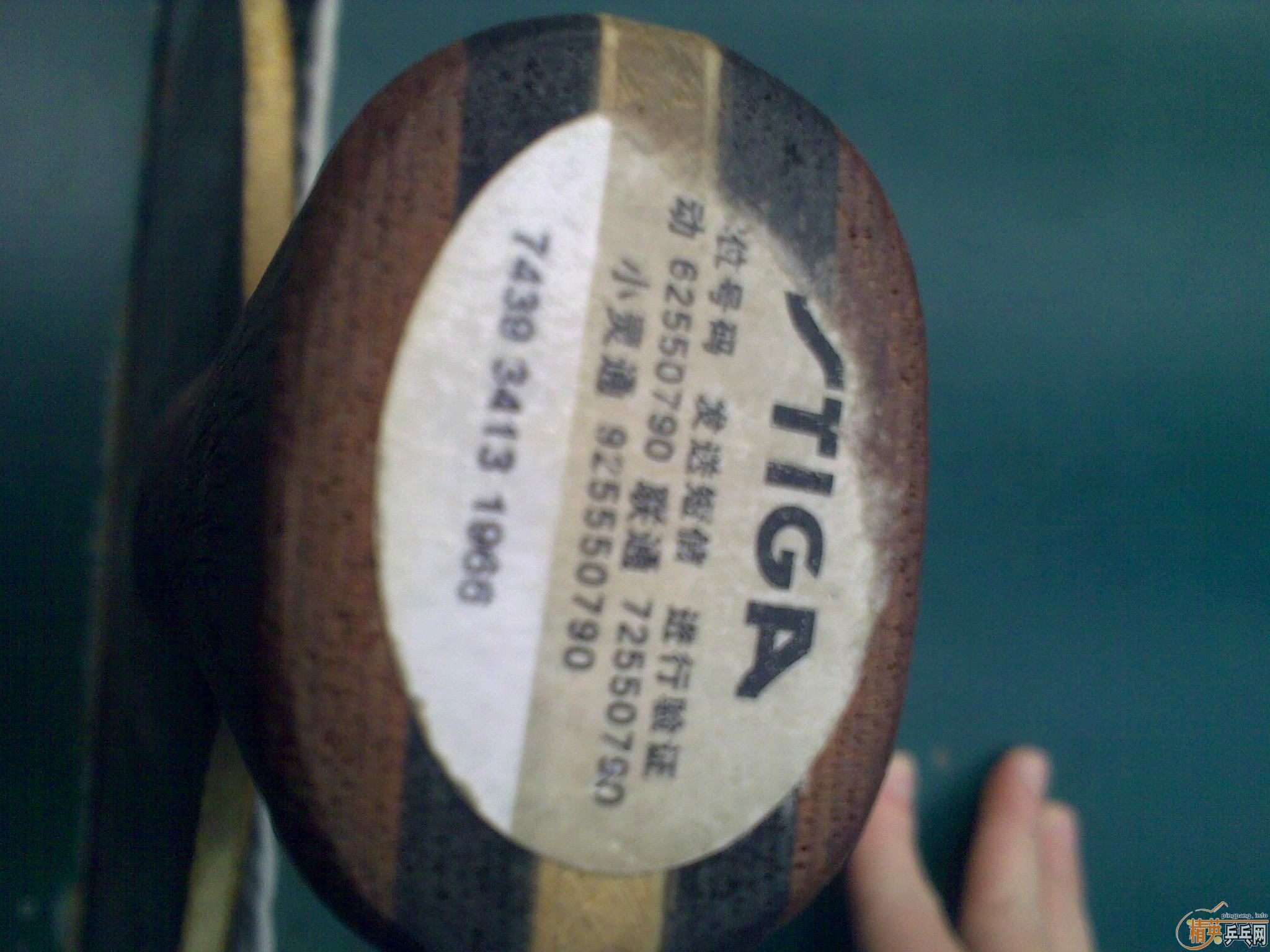 ���ر��Ƽ����ỻֱ��