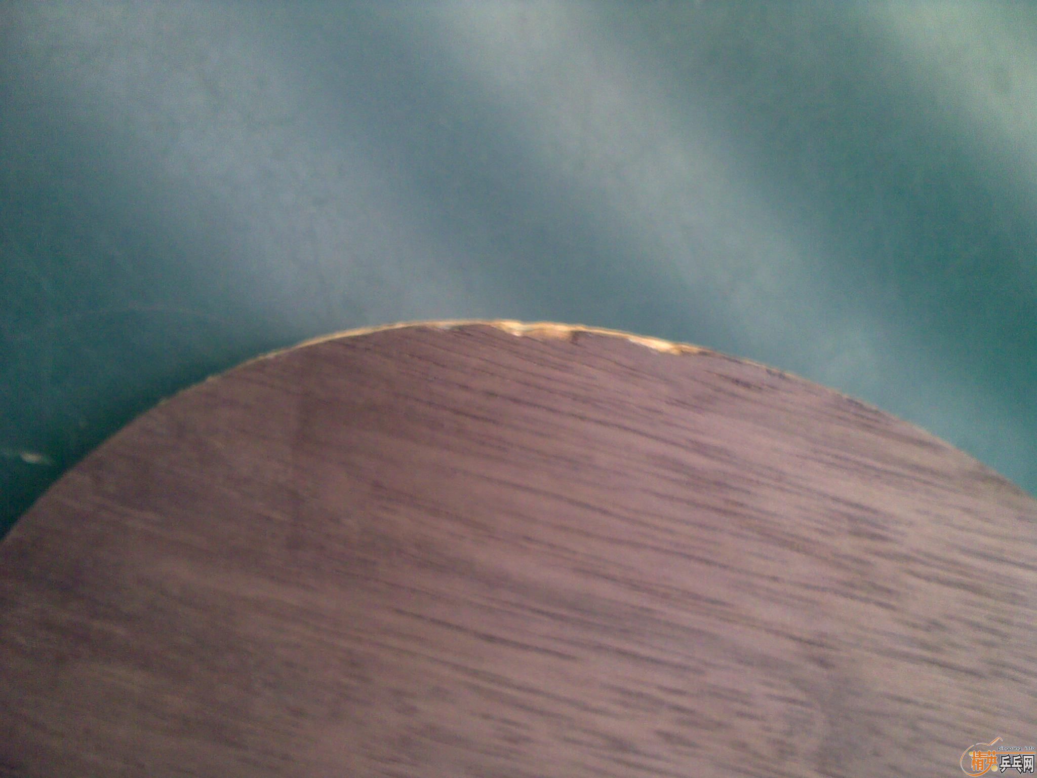 ���ر��Ƽ����ỻֱ��