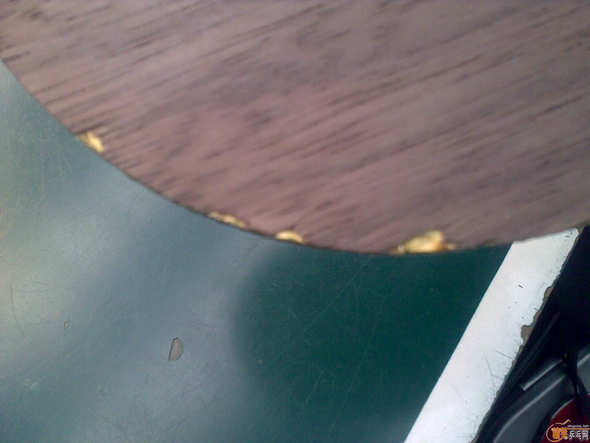 ���ر��Ƽ����ỻֱ��