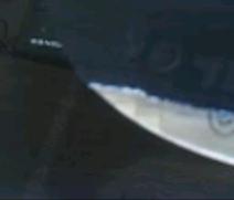 һ���ϰ汾DONIC +���Ƴ����߻�