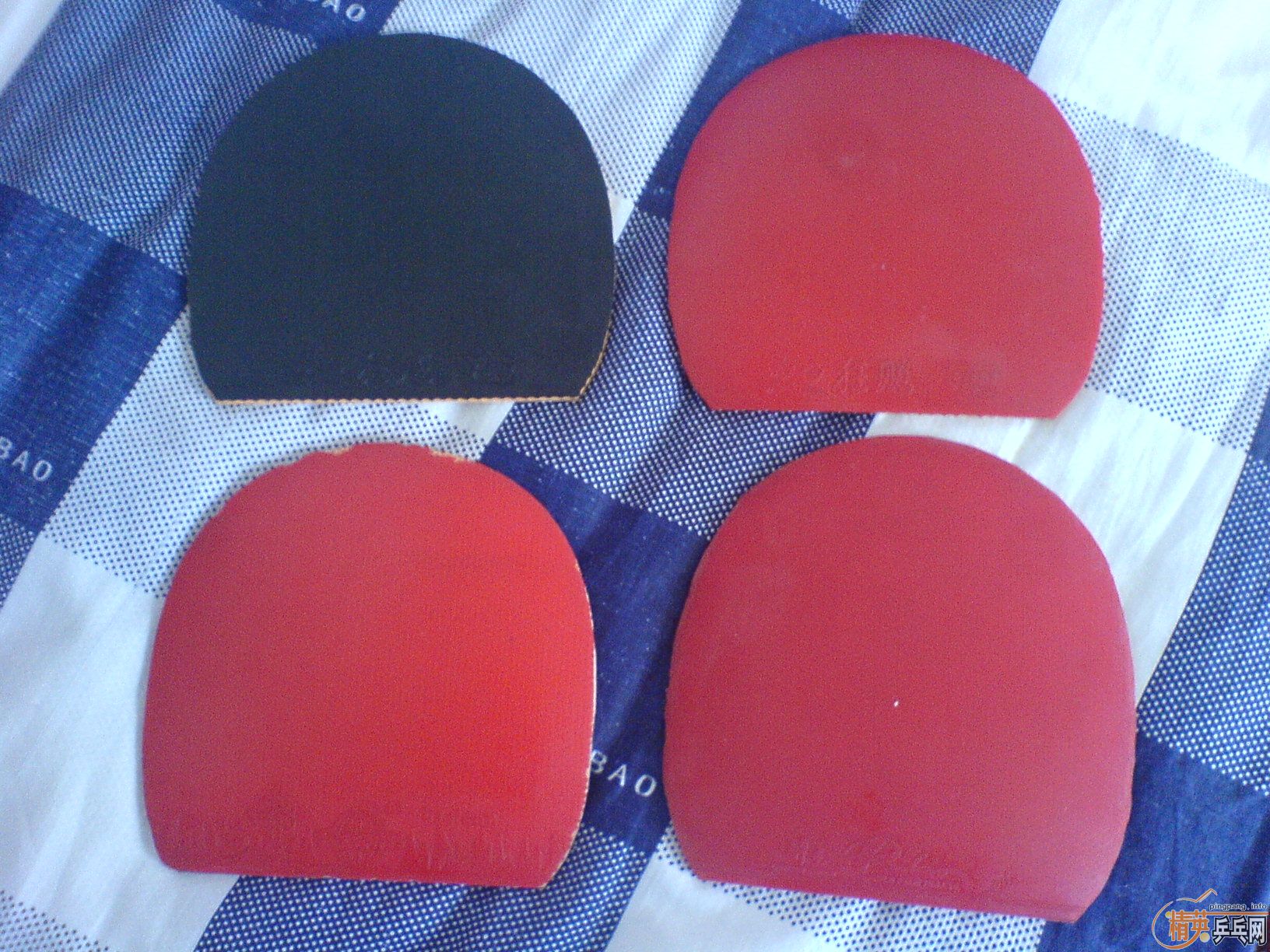 [�Ƽ�]��9.5�º��տ����������