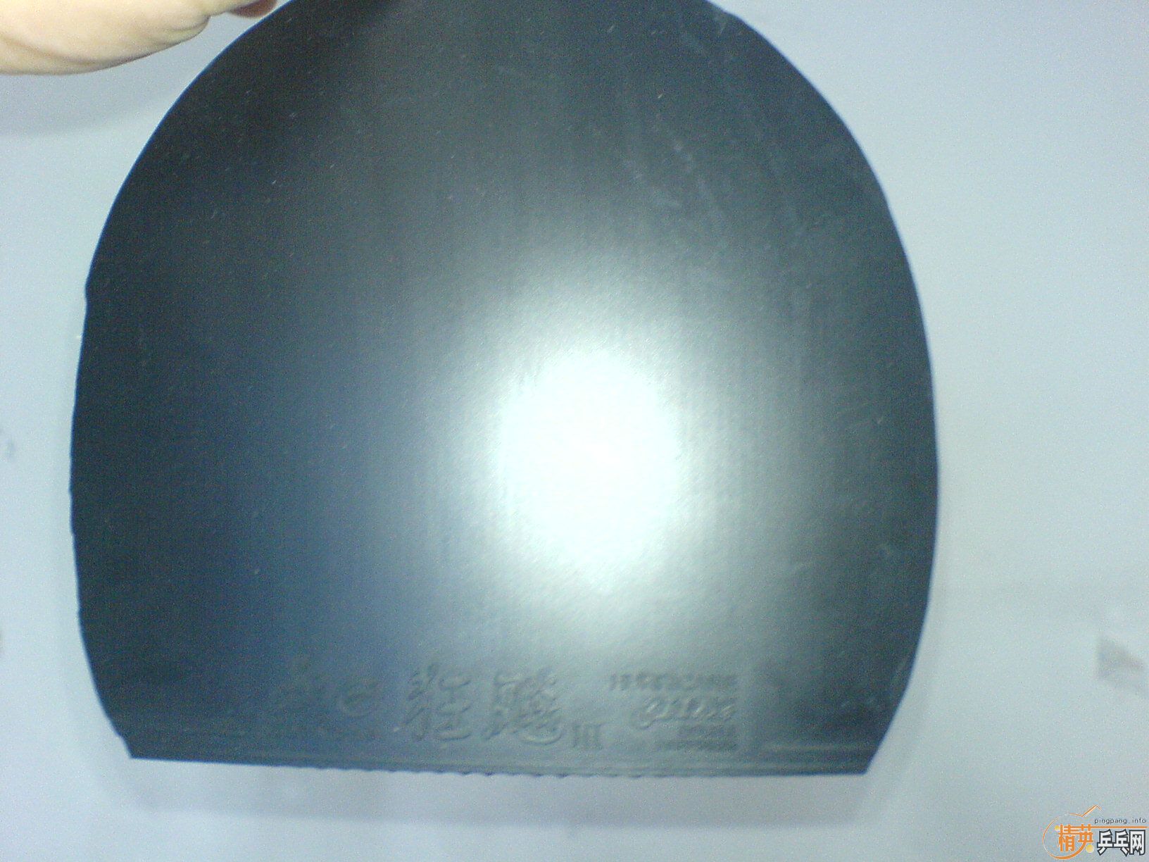 [�Ƽ�]��9.5�º��տ����������