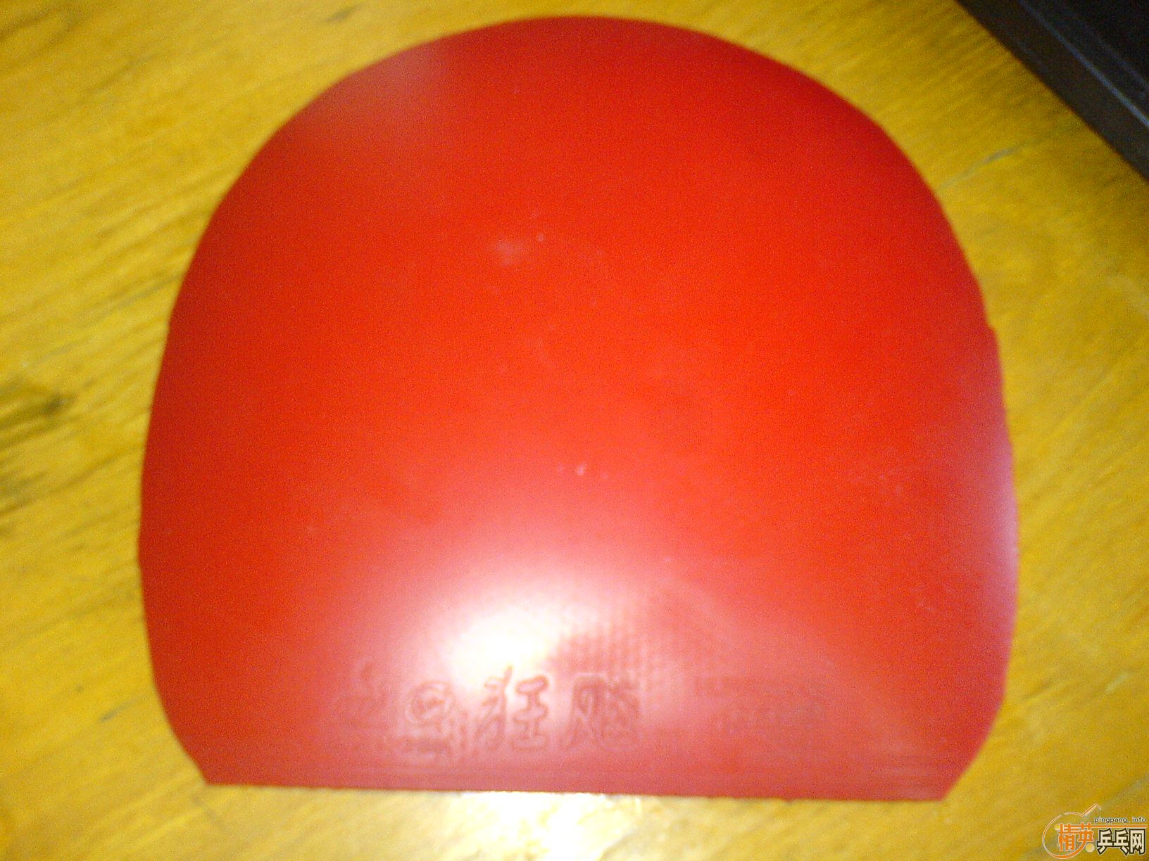 [�Ƽ�]��9.5�º��տ����������