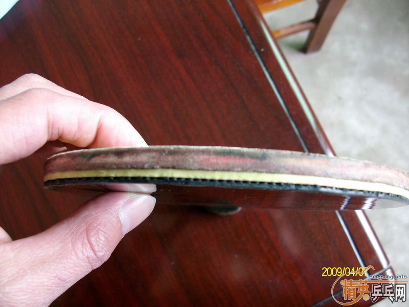 ����T5�����棡����������