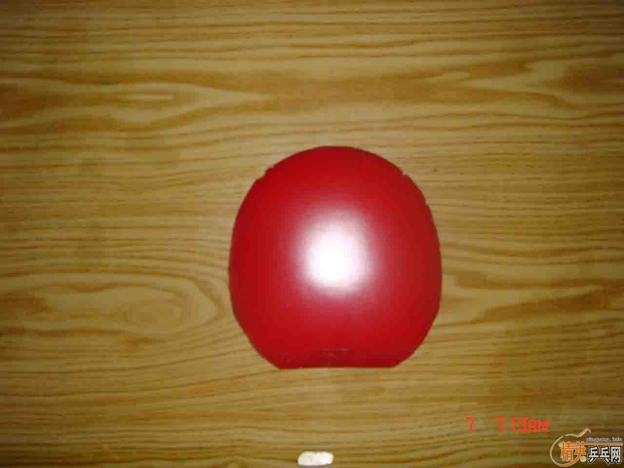 ����2019ȫ�׺Ϳ�3�׽�������JO WALDNER�׽����˳�