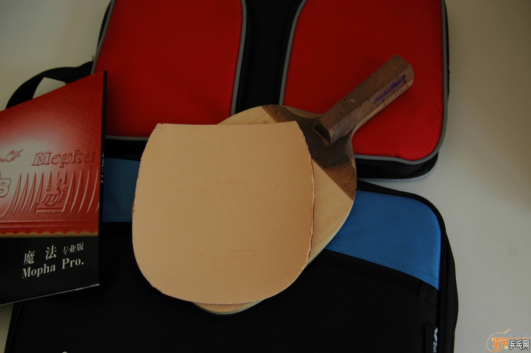 ��9.5�º�����������10��������sp(2.2 40�� �죩