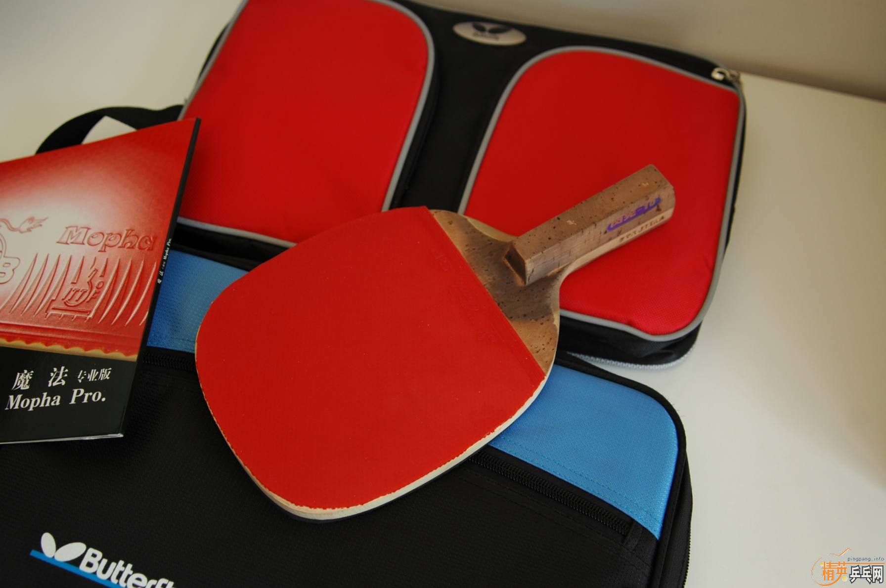 ��9.5�º�����������10��������sp(2.2 40�� �죩