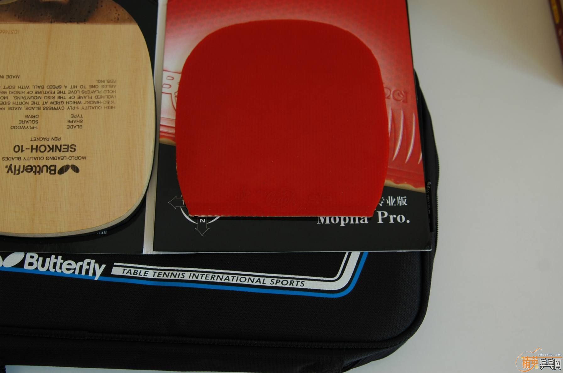 ��9.5�º�����������10��������sp(2.2 40�� �죩