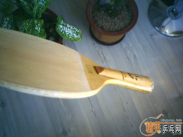 ����������һ֧