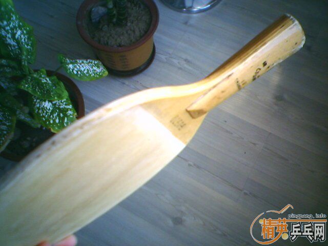 ����������һ֧